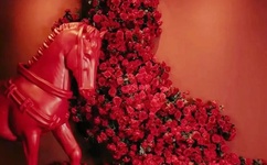 铁血使命全集下载